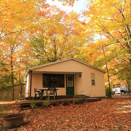 Camping Chalets Lac St-Augustin Quebec Exteriér fotografie